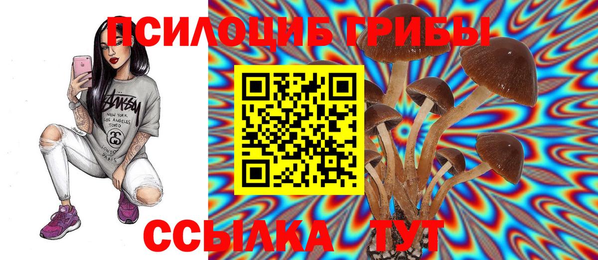 Фурманов  Галлюциногенные грибы Psilocybe  Вход с VPN 